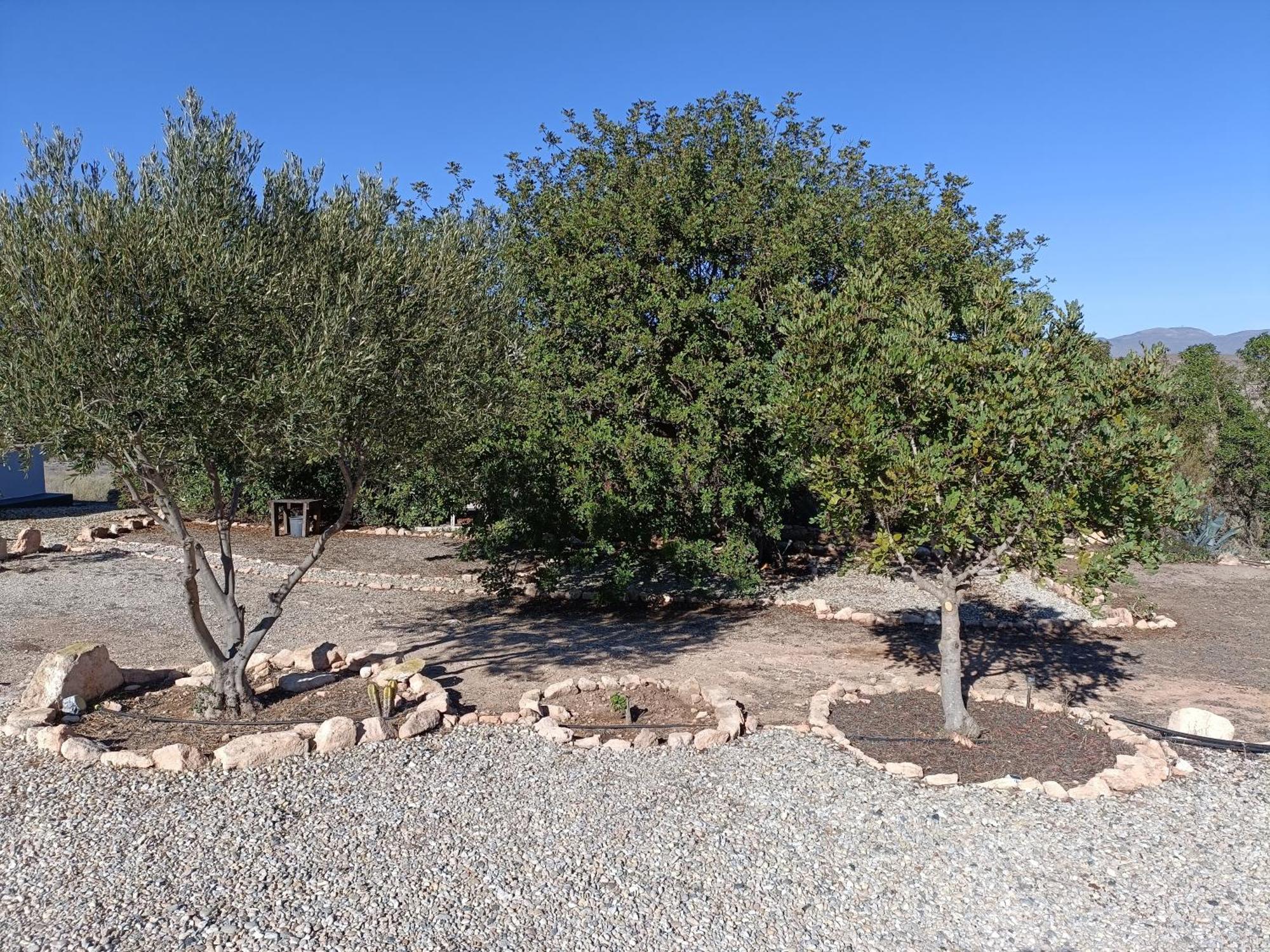 Villa El Cerrillo Agua Amarga  Exterior foto